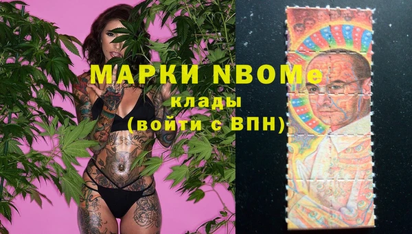 ГАЛЛЮЦИНОГЕННЫЕ ГРИБЫ Алзамай