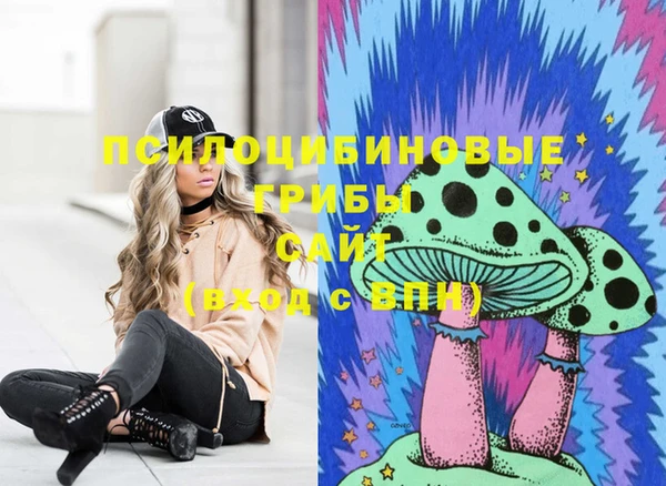 мяу мяу мука Дмитриев