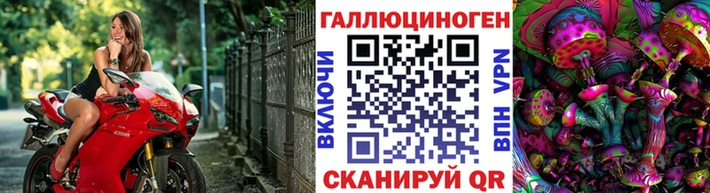 MEGA ONION  Астрахань  Галлюциногенные грибы Psilocybine cubensis  где купить  