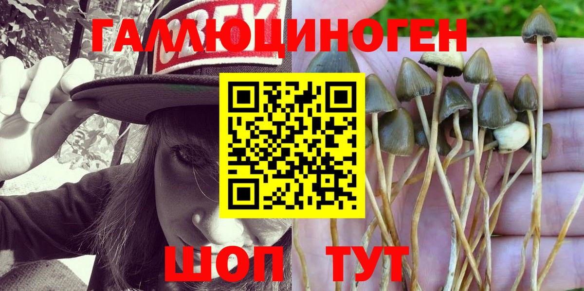 Псилоцибиновые грибы ЛСД Астрахань