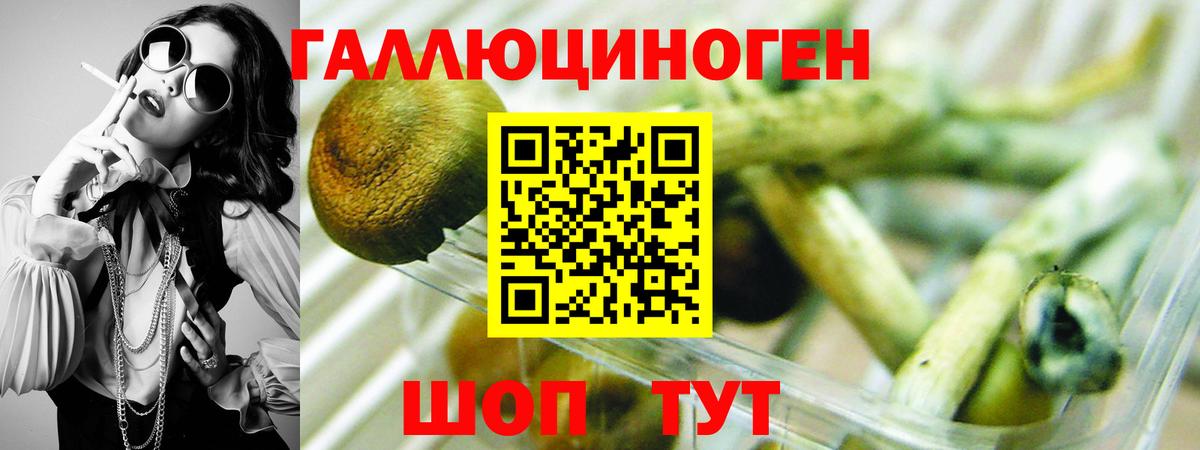 где продают   Псилоцибиновые грибы Psilocybe  Астрахань  Вход с VPN  Галлюциногенные грибы GOLDEN TEACHER 